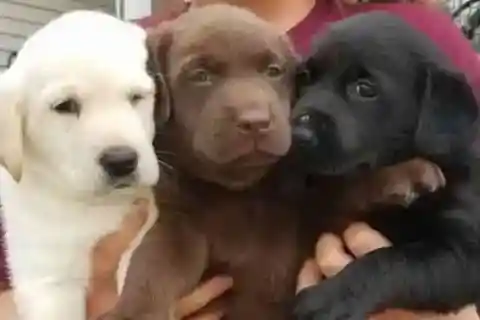 二人の父親、驚くべき発見