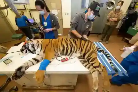 Illegal Procedures