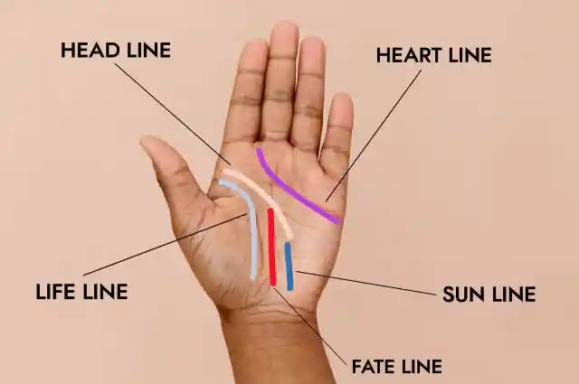 Heart Line