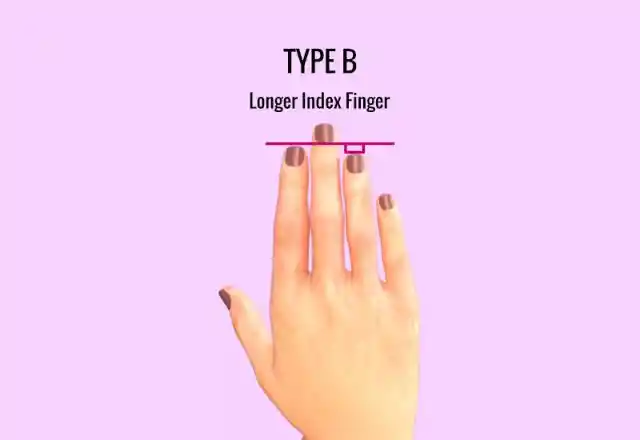 Type B: Longer Index Finger
