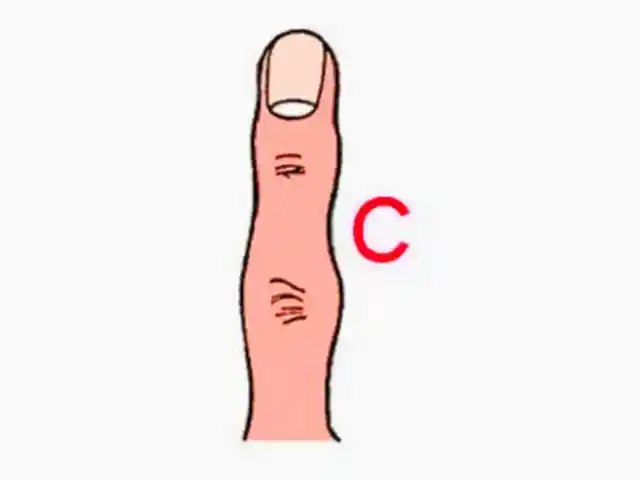 Type C: The Sensitive Connector