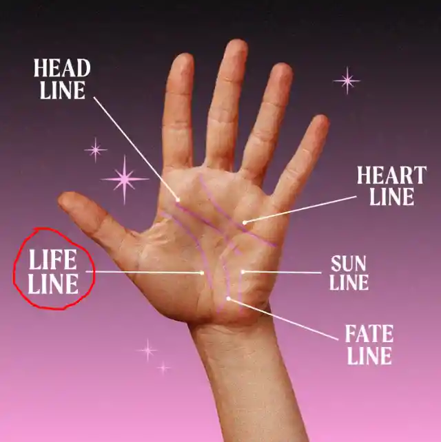 Life Line